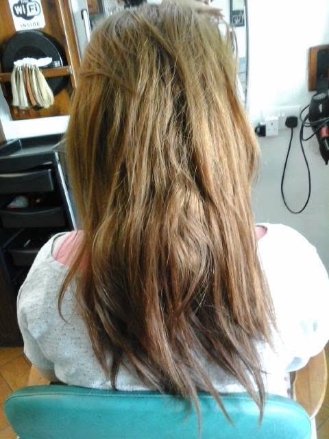 Frizzy light brown hair before treatment